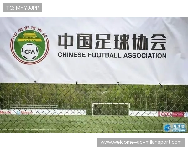 中国足球发展规划引社会关注，中国足球长期发展规划