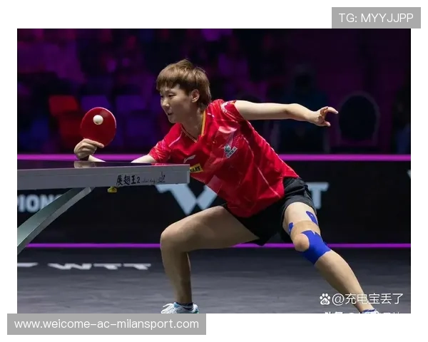 从零到冠军：运动员的奋战历程回顾，运动员成功背后的故事