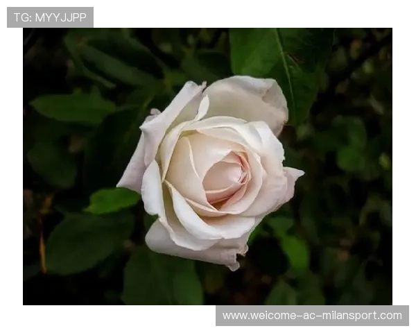 梁馨枰首谈人生感悟：旷野人生才是王道！