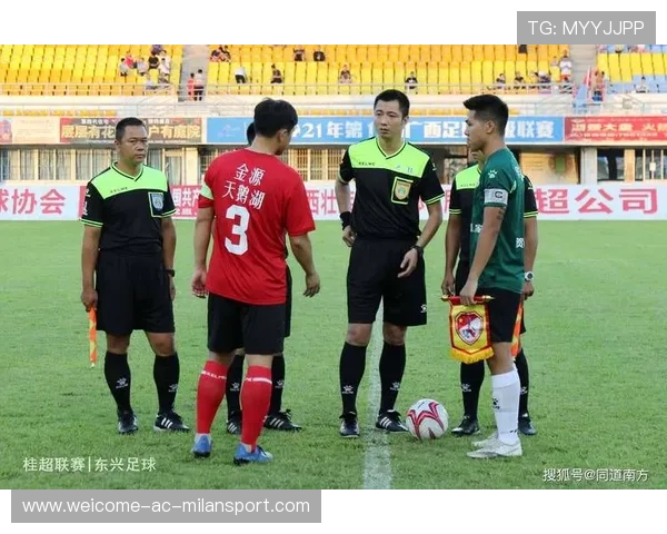 职业联赛的裁判执法记录